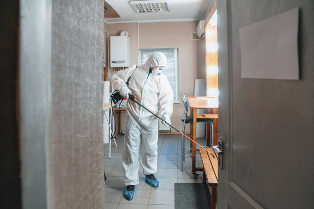 Reliable Golden Grove, SC Mold Removal Solutions