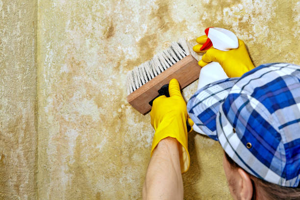Best Indoor Air Quality Assessment  in Golden Grove, SC